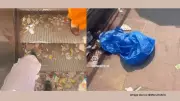 Shocking Video of Delhi's Anand Vihar Littering Sparks National Debate on Civic Sense
