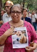 Supreme Court Refuses to Hear Harassment Claims of Women Dog Feeders