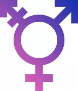 Supreme Court Slams Centre, States Over Neglect of Transgender Community Rights