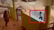 Toddler Killed in Bengaluru Hit-and-Run, Driver Arrested After Video Surfaces