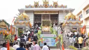 TTD to Cultivate Agama-Approved Trees for Dwajasthambam Flag Masts