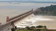 Tungabhadra Tragedy: Torrential Rains Decimate Vast Paddy Fields, Farmers Face Ruin