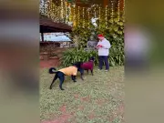 Virat Kohli, Sachin Tendulkar, Cristiano Ronaldo Share Festive Christmas Wishes