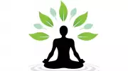 Walking the Path of Wisdom: Ancient Indian Philosophy for Modern Life