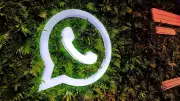 WhatsApp Messages: Even Unspoken Words Can Land You in Legal Trouble, Rules Allahabad High Court