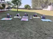 World Pneumonia Day 2023: Schools Raise Awareness About Deadly Disease