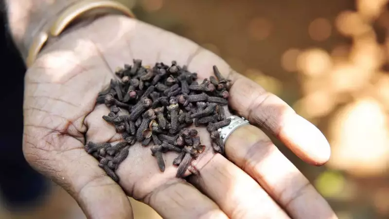 11 Surprising Health Miracles of Chewing Cloves Daily: Your Kitchen's Secret Wellness Weapon