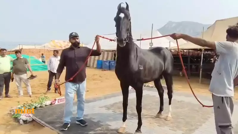 ₹15 Crore Marwari Stallion 'Shahbaz' Steals the Show at Pushkar Cattle Fair | Watch Viral Video