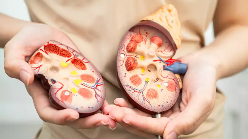 3 Superfoods for Kidney Health: Natural Detox Secrets Revealed by Global Expert