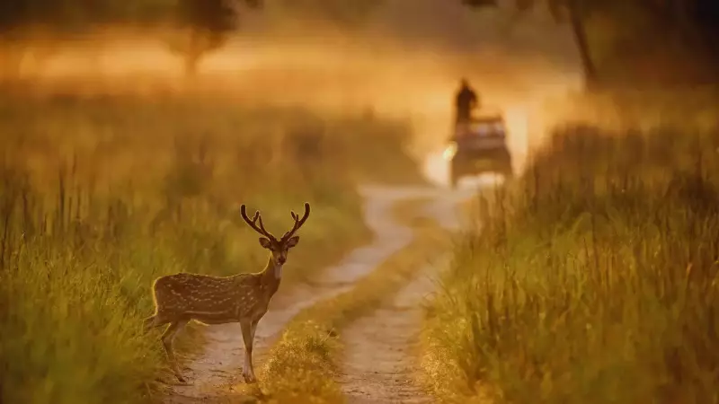 7 Incredible Forest Rest Houses in India For Your Next Wildlife Adventure