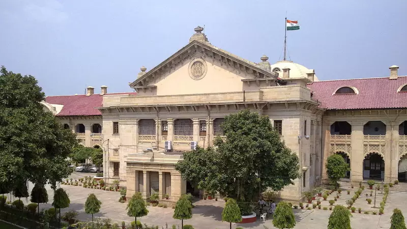 Allahabad HC Slams UP Police Over Illegal Detention of Interfaith Couple: 'Liberty Cannot Bow to Social Pressure'