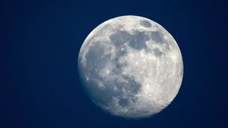 Beaver Moon 2025: Don't Miss the Year's Biggest Supermoon - Dates & Viewing Tips