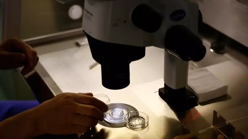 Bessemer Venture Partners Invests in Pluro Fertility: Revolutionizing IVF Treatment in India