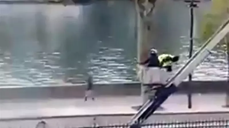 Cherry Picker Heist: Thieves Steal ₹102 Million in Jewels from Louvre in Daring Daylight Escape