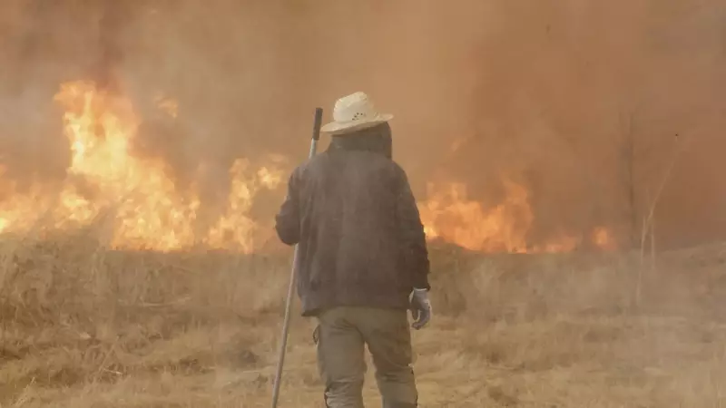 Climate Crisis Now: How Global Warming Is Directly Harming Your Health