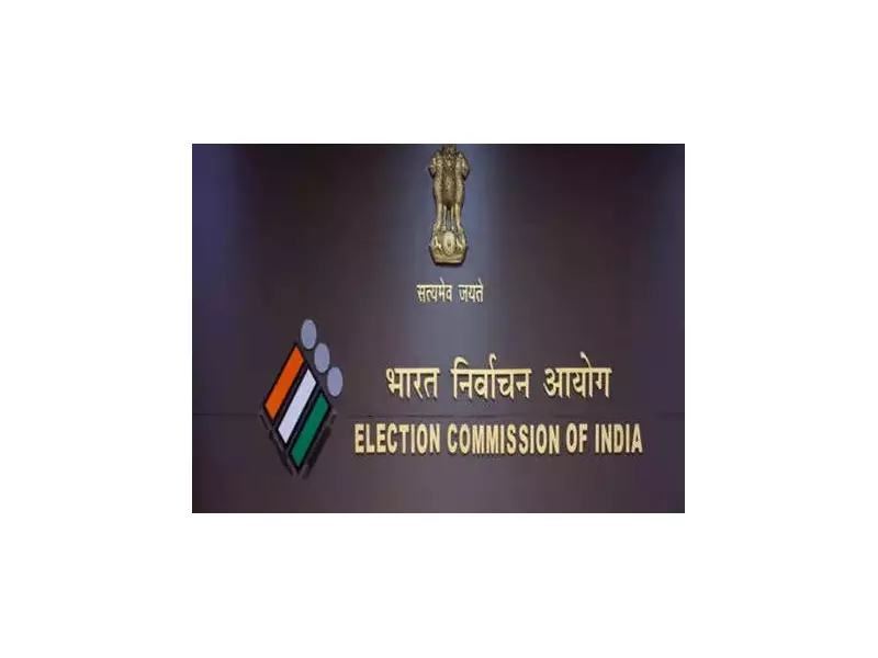 Congress Flag Controversy: Lawyer Petitions Election Commission for Symbol Suspension