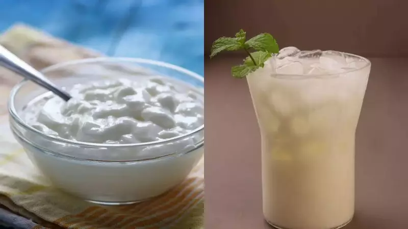 Curd vs Buttermilk: Which is Your Ultimate Gut Health & Hydration Champion?