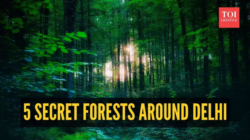 Delhi's Secret Sanctuaries: 5 Hidden Forests Near the Capital You Must Explore