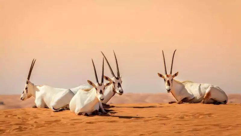 Earth's Surprising Comeback: Scientists Stunned as Plant & Animal Extinction Rate Unexpectedly Slows Down