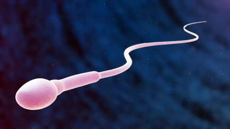 Fatherhood After 40? Shocking Truths About Male Fertility and Ageing Every Man Must Know