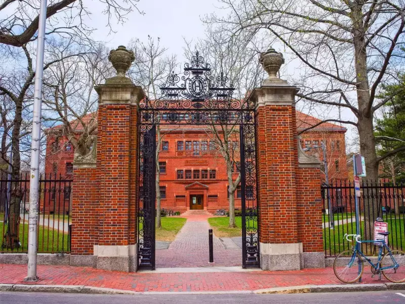 Harvard's Diversity Shift: Asian American Enrollment Rises as Black & Hispanic Numbers Decline
