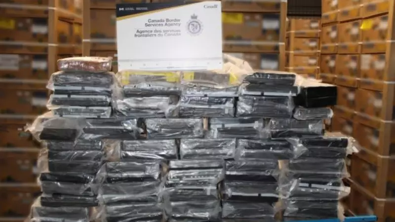 Indian-Origin Truck Driver Nabbed at US-Canada Border with 77kg Cocaine Haul | Cross-Border Drug Bust