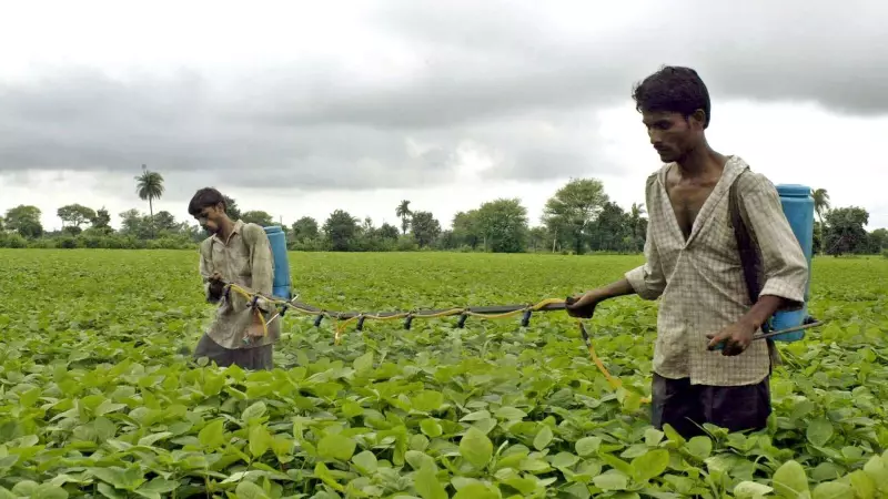 India's AgriStack Revolution: Digital Push to Transform Farming with Tech & Data
