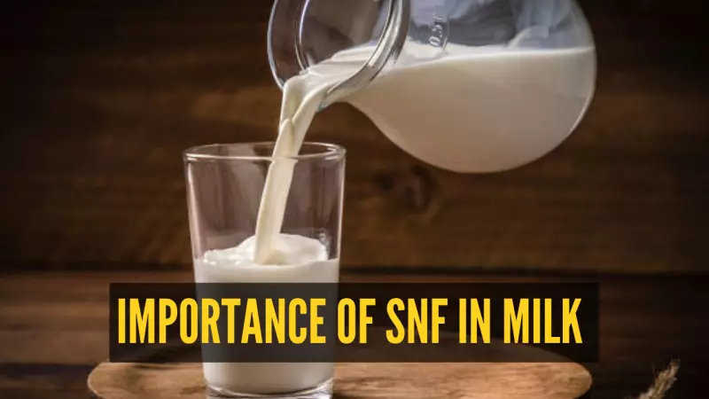 Milk Mystery Solved: Why SNF Percentage on Your Milk Packet Matters More Than You Think!