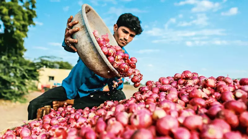 MSP Protection Boost: Centre's New Plan to Shield Farmers from Distress Sales
