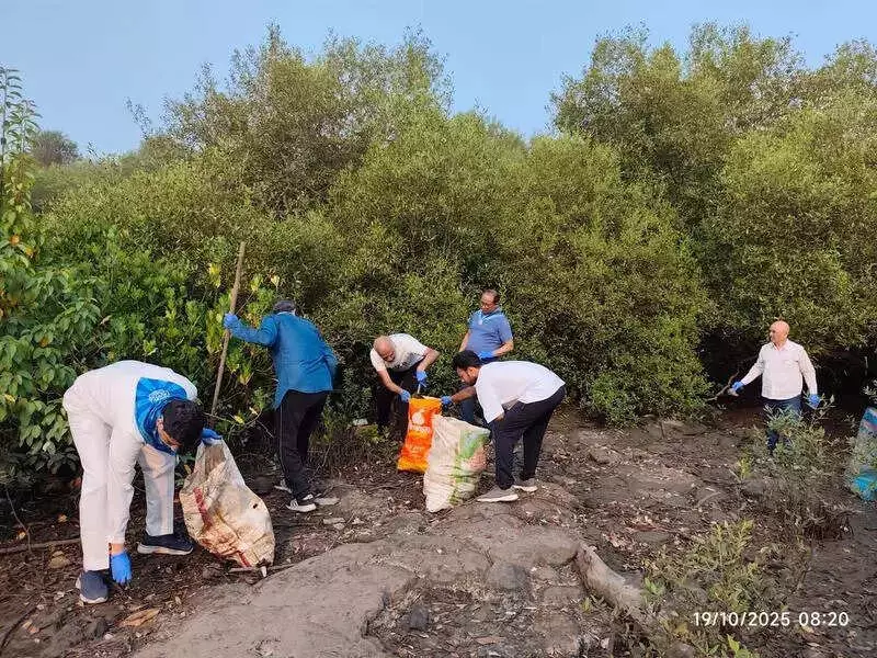 Navi Mumbai's Mangrove Cleanup Sparks Green Revolution! Community Rallies for Coastal Conservation