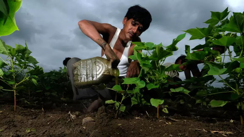 Parametric Insurance: The Game-Changer Indian Farmers Need Amid Climate Crisis