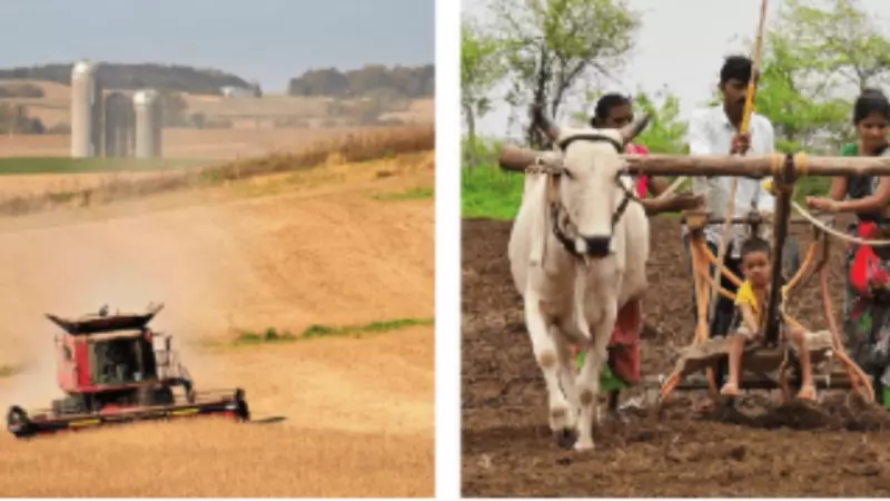 Soybean & Corn Politics: The Delicate Dance Behind India's Trade Deals