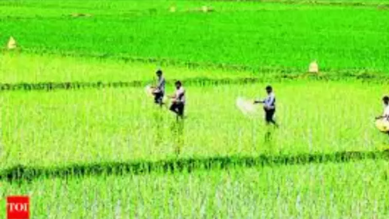 Sweet News for UP Farmers: Sugarcane SAP Hikes by Record ₹30 per Quintal for 2024-25 Season