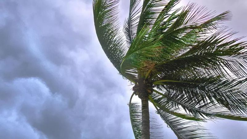 Tropical Storm Melissa Intensifies: Hurricane Threat Looms for US Coastline