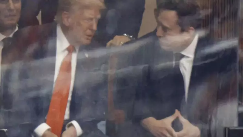 Trump Calls Feud with Elon Musk a 'Stupid Moment', Vows Eternal Fondness