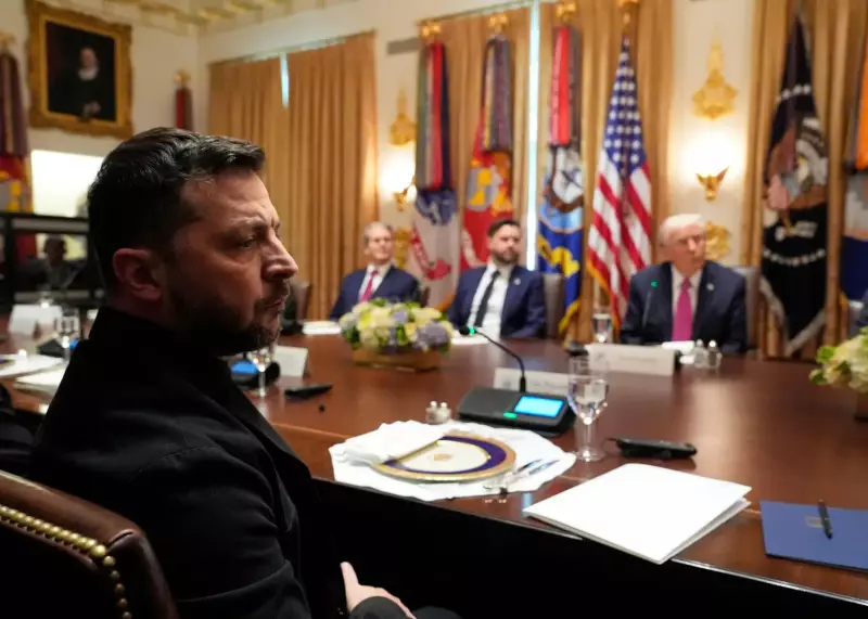 Trump Praises Zelenskyy's Style: 'He Looks Beautiful' in Latest Outfit | Watch Viral Moment