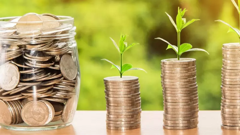 Want ₹50 Lakh in 10 Years? This SIP Calculator Reveals the Exact Monthly Investment You Need