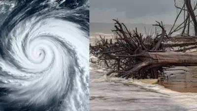 Cyclone Alert: Chennai Battles Torrential Rains, Odisha on High Alert | Live Updates