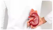 5 Morning Habits That Are Secretly Damaging Your Kidneys, Reveals Top Urologist