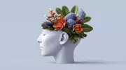 Brain-Boosting Nuts: 5 Superfoods to Supercharge Your Memory & Focus