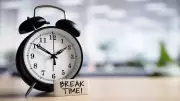 Brain Reset in 5 Minutes: Scientists Reveal How Micro-Breaks Boost Focus & Productivity