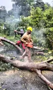 Cyclone Montha Wreaks Havoc: Gajapati District Battles Landslides and Transport Chaos
