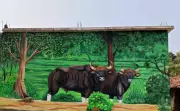Debrigarh Wildlife Sanctuary to Launch Homestay Program | Immerse in Nature's Lap