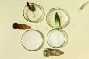 Green Beauty Revolution: Why Eco-Conscious Skincare is Taking Over India