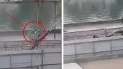 Heist of the Century: Louvre Thieves Snatch ₹830 Crore Jewels in Daring Daylight Escape