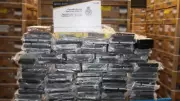 Indian-Origin Truck Driver Nabbed at US-Canada Border with 77kg Cocaine Haul | Cross-Border Drug Bust