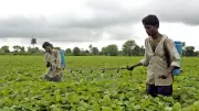 India's AgriStack Revolution: Digital Push to Transform Farming with Tech & Data