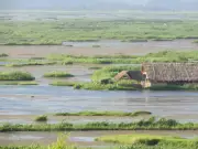 Loktak Lake in Peril: Nagaland University Study Reveals Alarming Water Quality Decline
