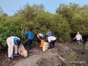 Navi Mumbai's Mangrove Cleanup Sparks Green Revolution! Community Rallies for Coastal Conservation