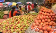 Post-Chhath Puja Fruit Bonanza: Banana, Apple & Orange Prices Plummet in Ranchi Markets